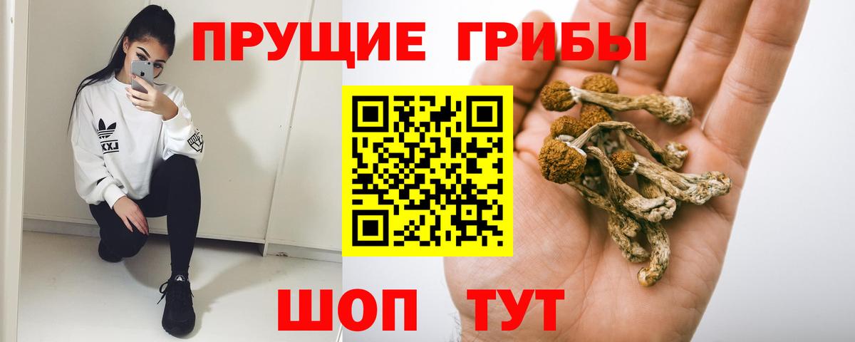 Альметьевск  Галлюциногенные грибы Psilocybine cubensis  Галлюциногенные грибы Psilocybe  Вход с VPN 
