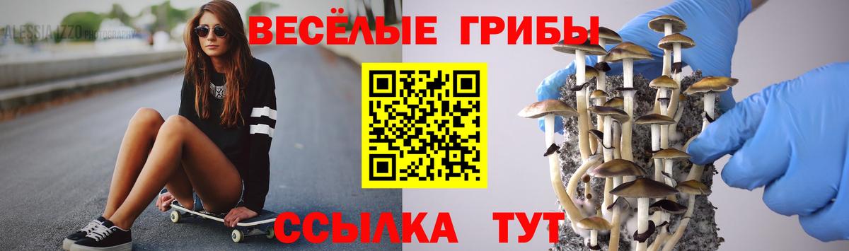 Галлюциногенные грибы Psilocybine cubensis Альметьевск